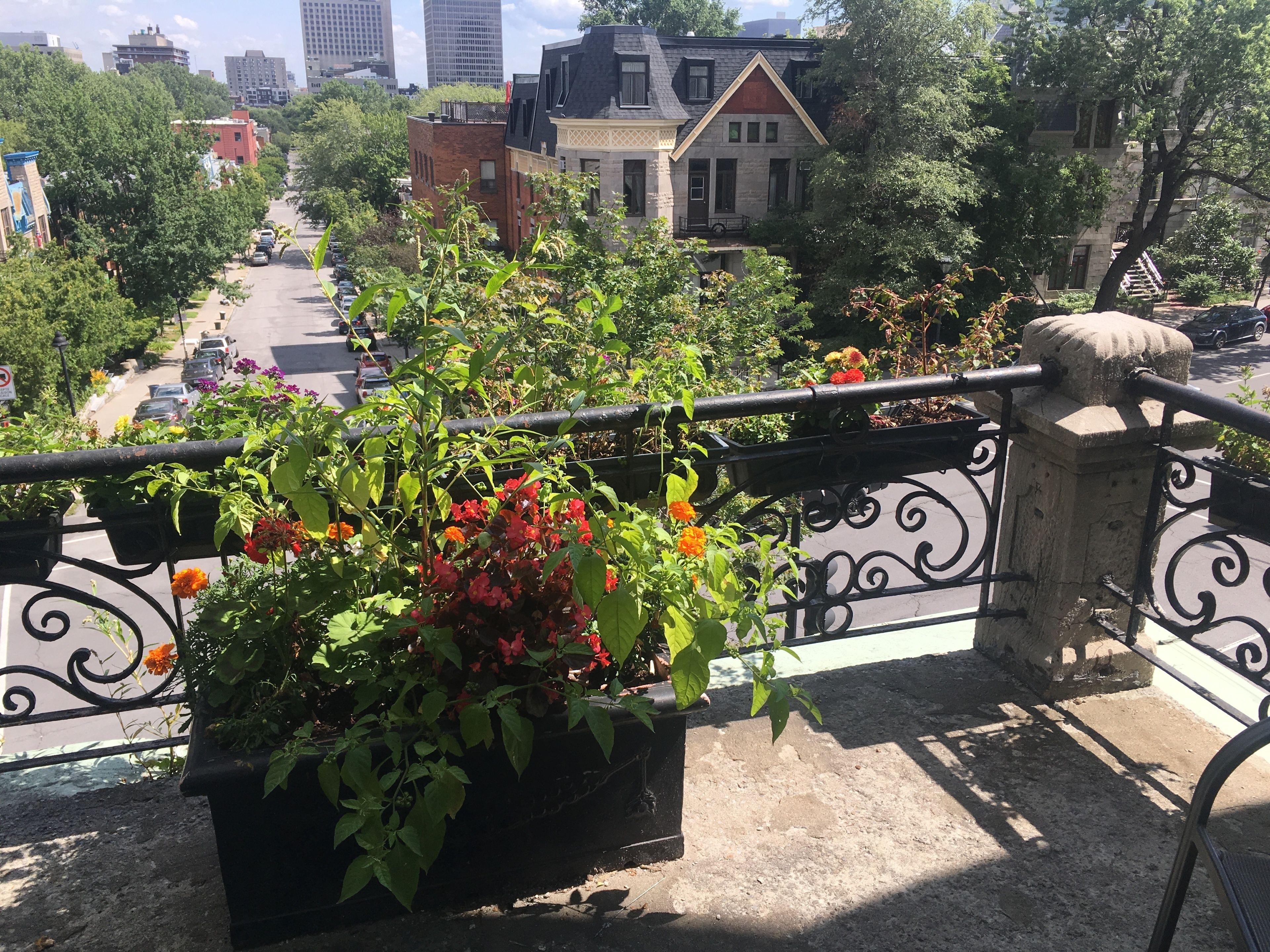 Hotel De Paris, Montreal